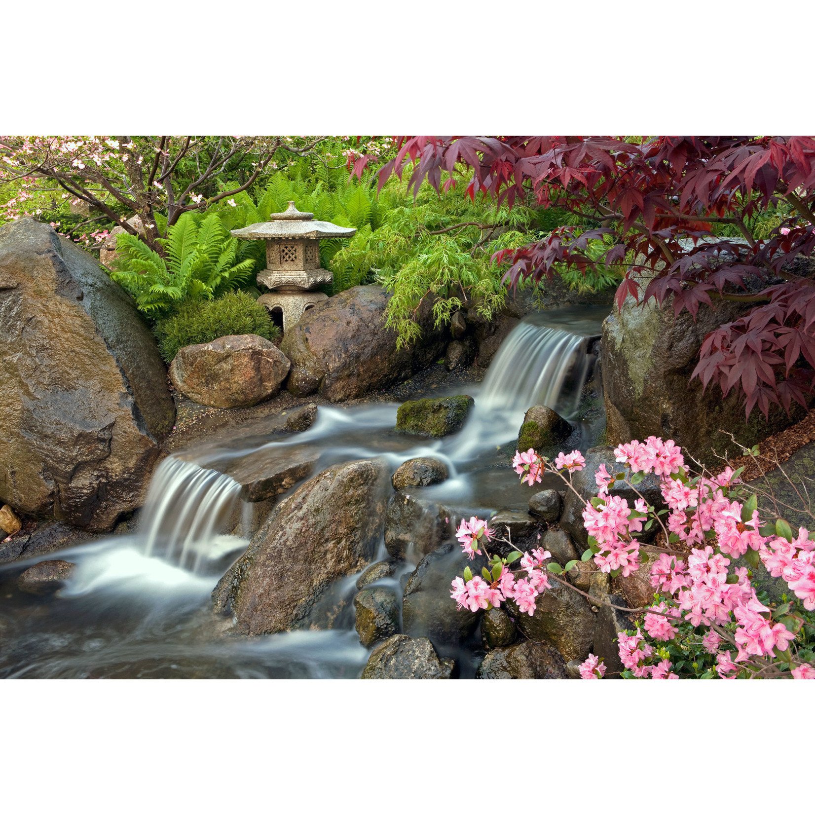 Anderson Japanese Gardens-Rockford $13.00 Adult (1) Day Admission