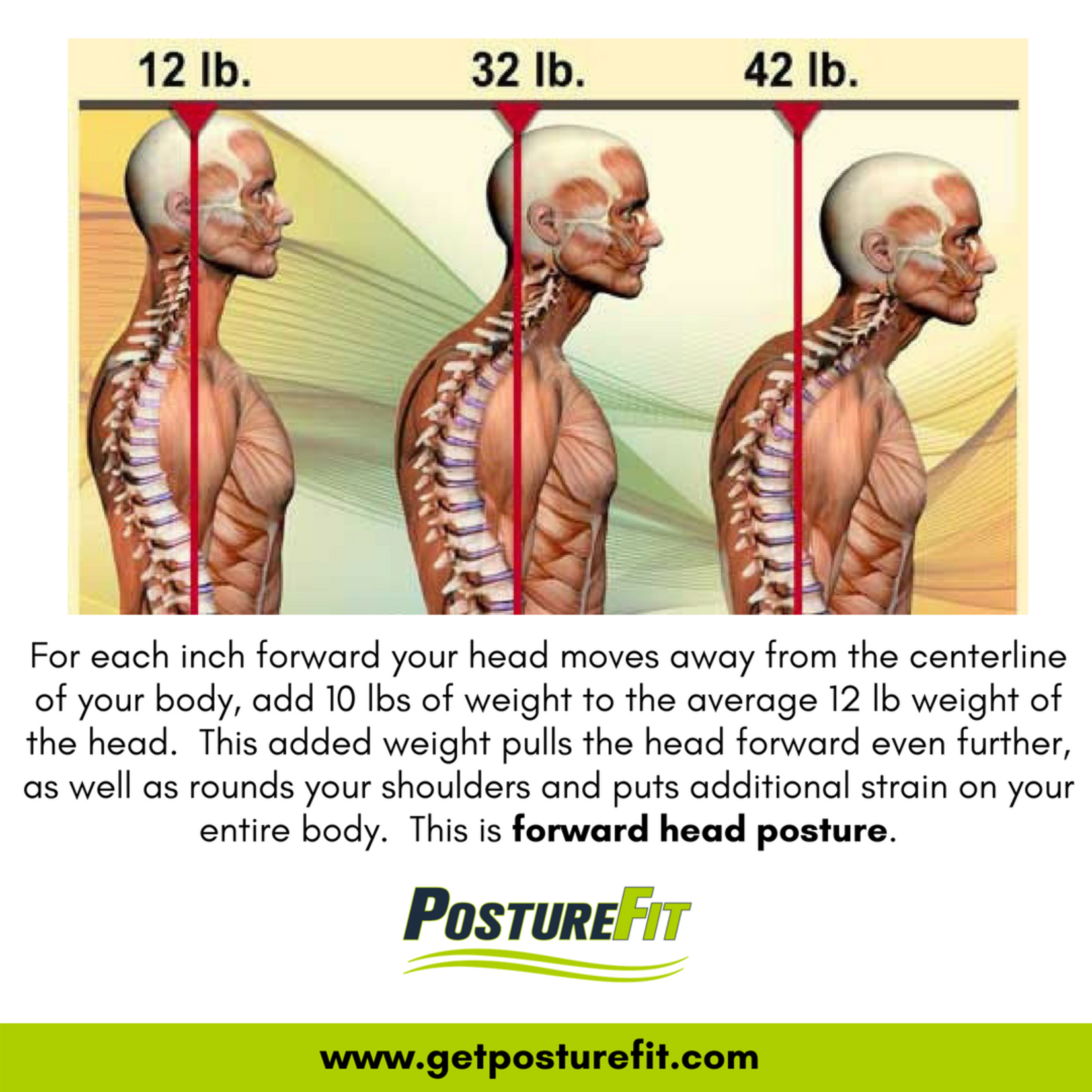 PostureFit System-South Elgin PostureFit System-South Elgin $75 Set of (3) Instructional Classes