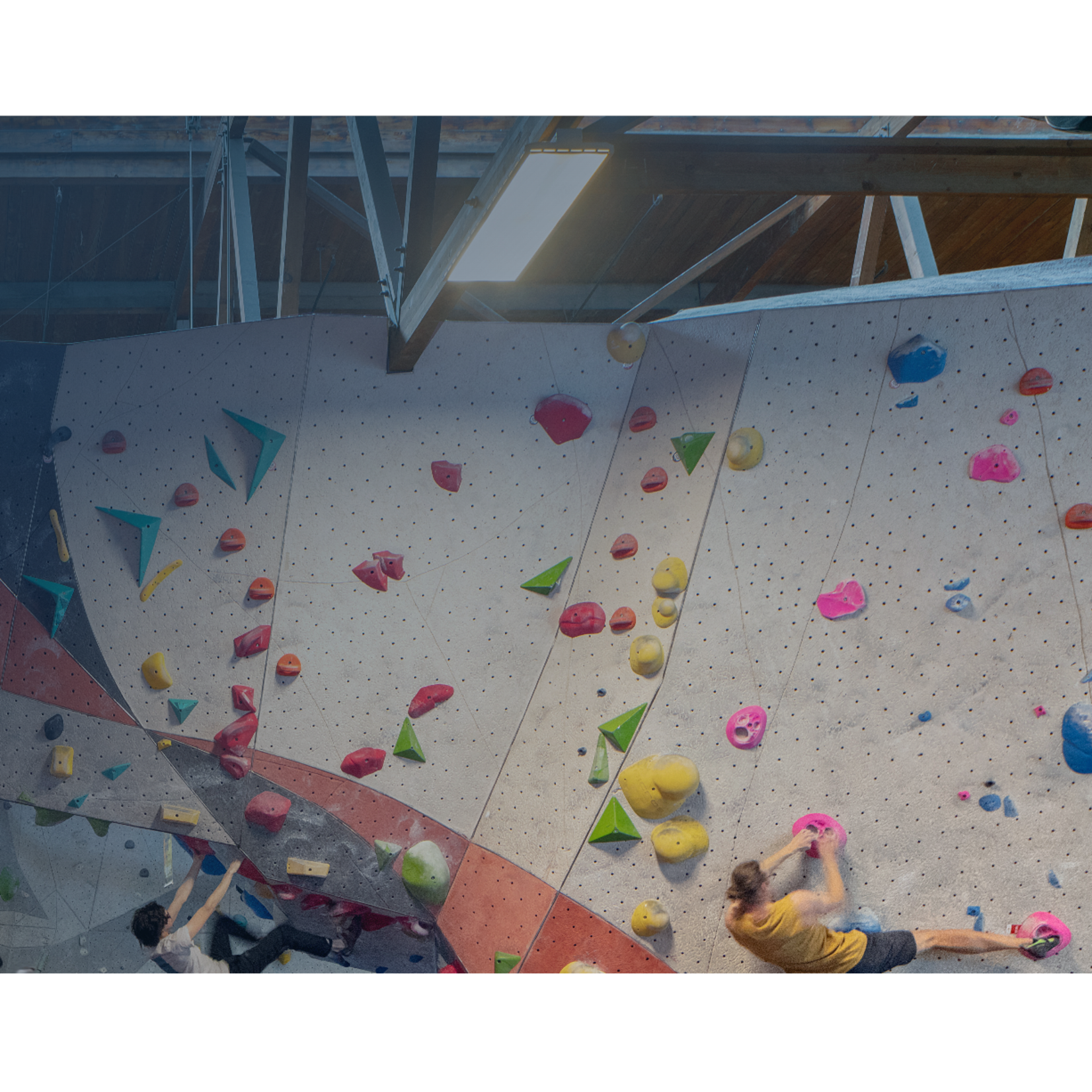 Vertical Endeavors Rock Climbing-Glendale Heights Vertical Endeavors Rock Climbing-Glendale Heights $35.00 Daily Admission w/Rental Package