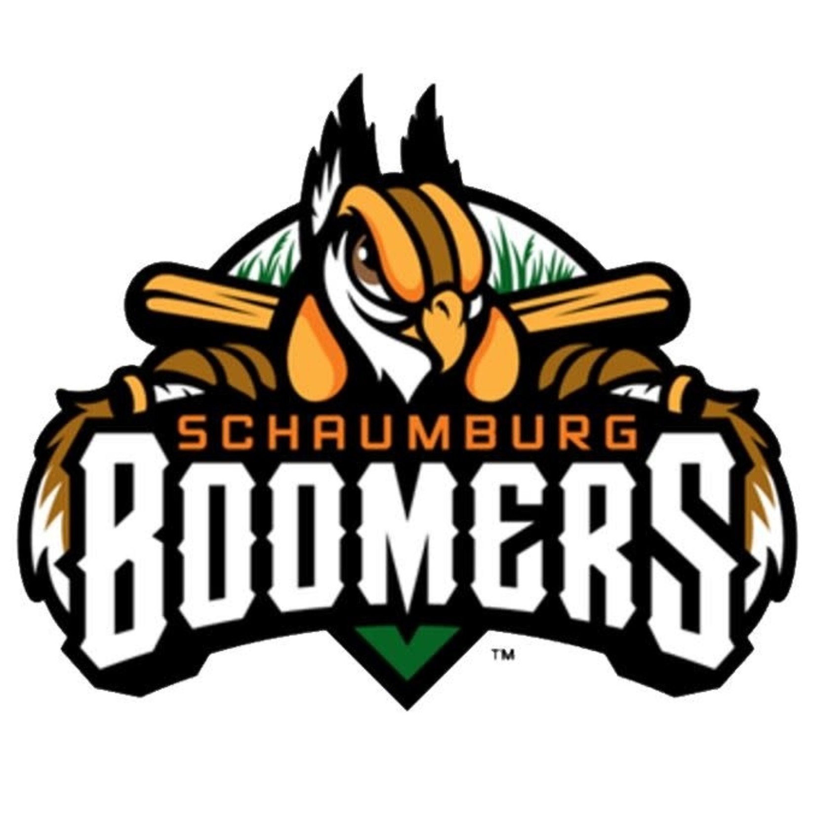 Schaumburg Boomers Baseball-Schaumburg Schaumburg Boomers Baseball-Schaumburg $600 Suite Rental for (25) People