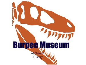 Burpee Museum of Natural History-Rockford