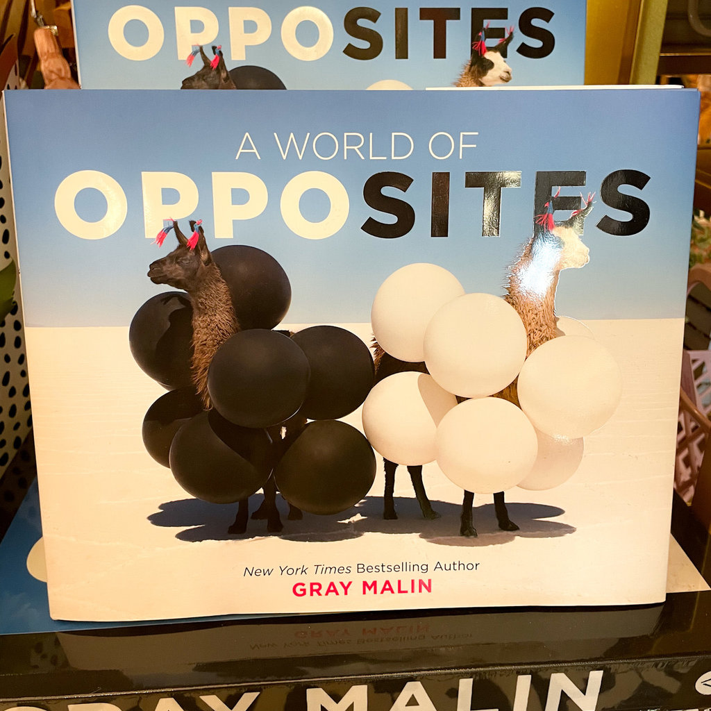 Hachette A World of Opposites - Gray Malin
