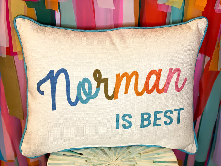 Little Birdie Norman is the Best Pillow