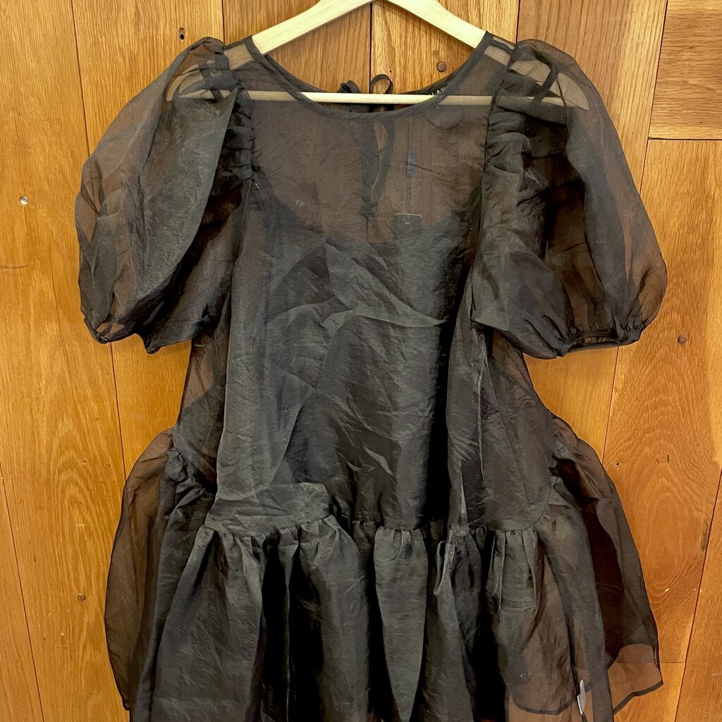 Beulah Black Sheer Dress with Slip