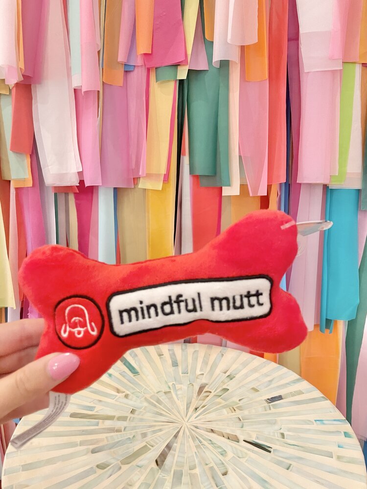 Haute Diggity Dog Chewlulemon Bone Dog Toy