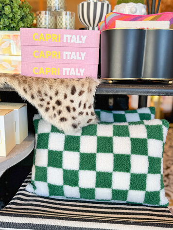 Aztec Home Green & White Check Lumbar Pillow.