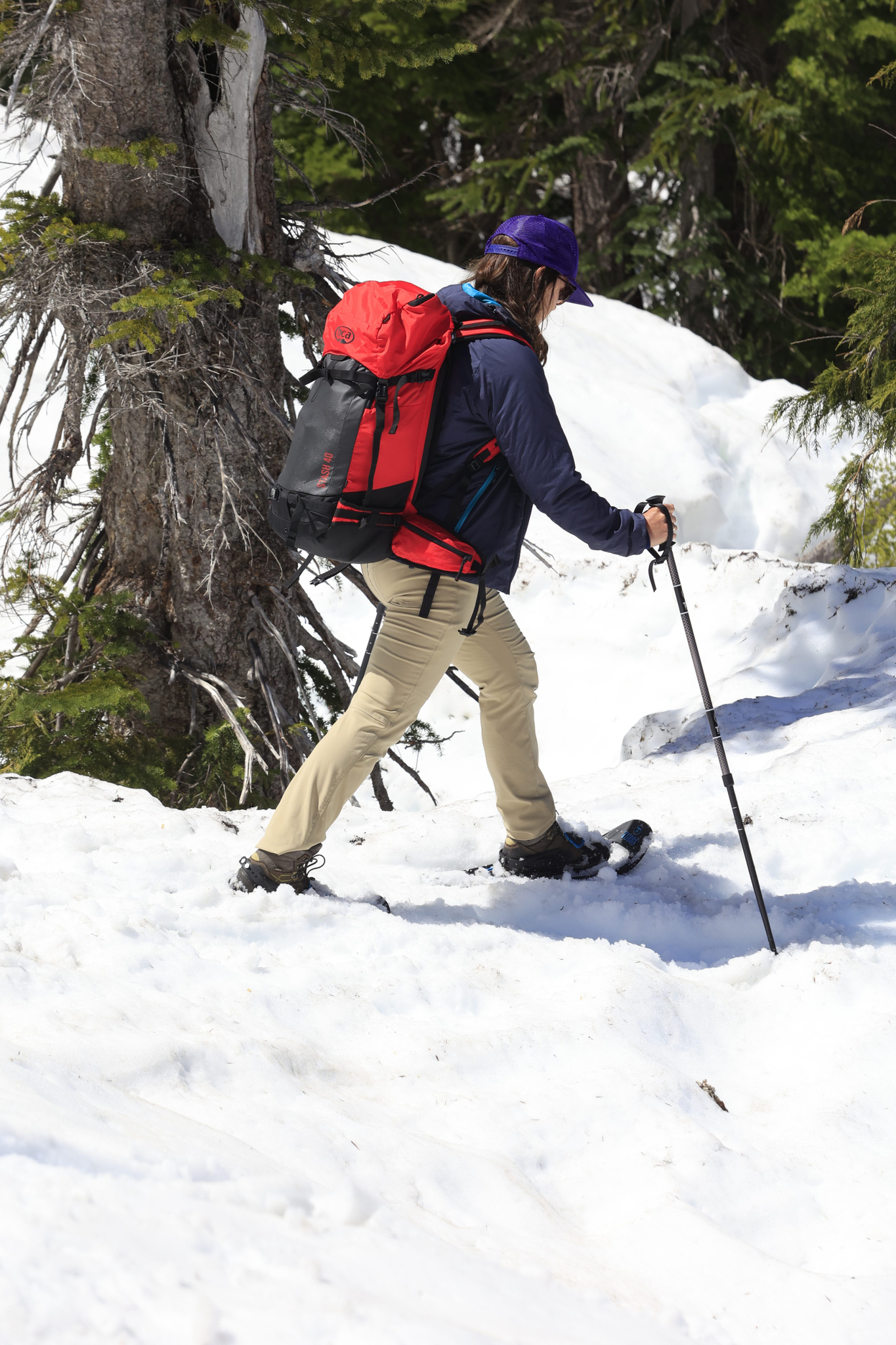 Rental 1 Day for Snowshoe Fitness Fanatics