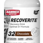 Hammer Nutrition HAMMER Recoverite Chocolate (32 Servings)