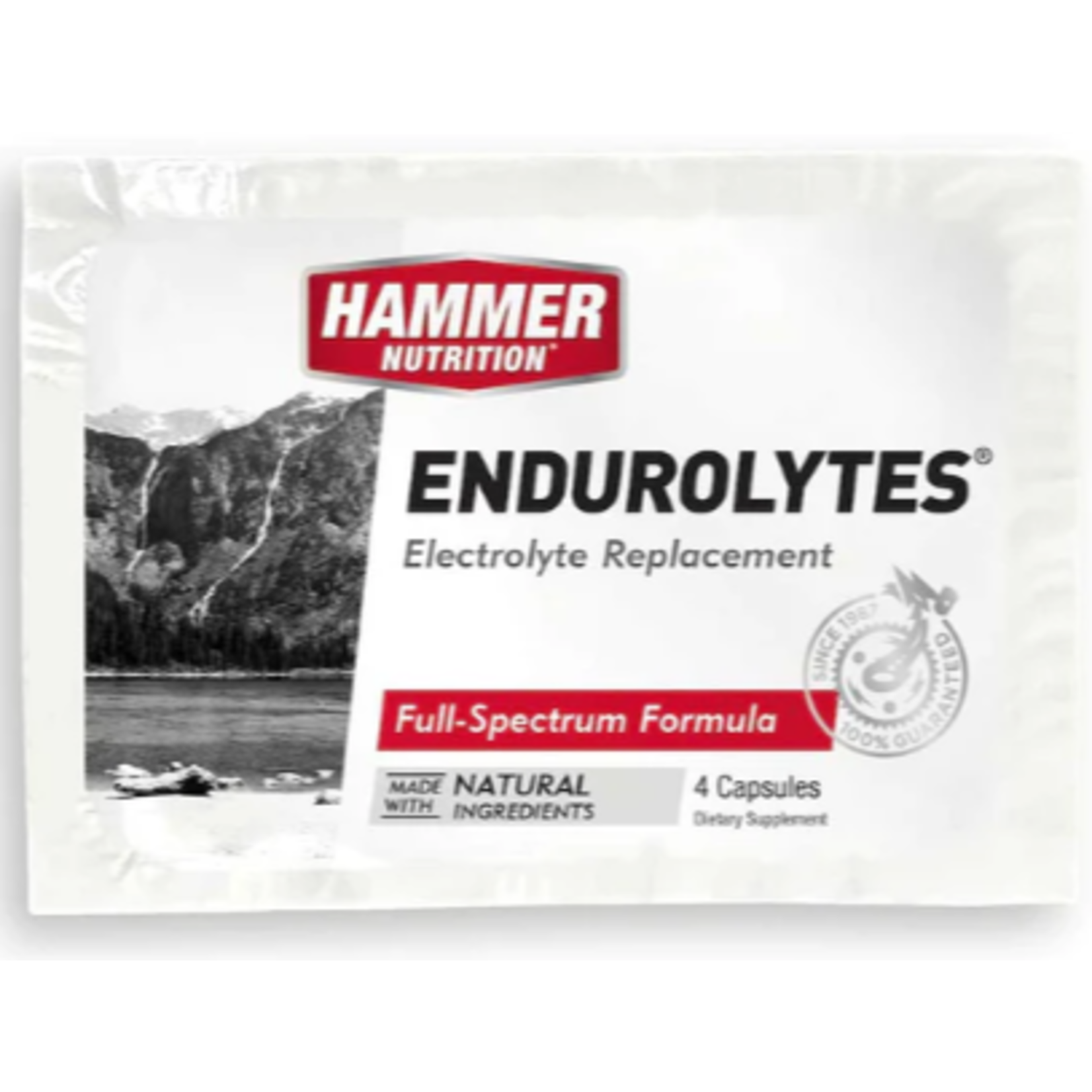 HAMMER Endurolytes 4 capsule pack
