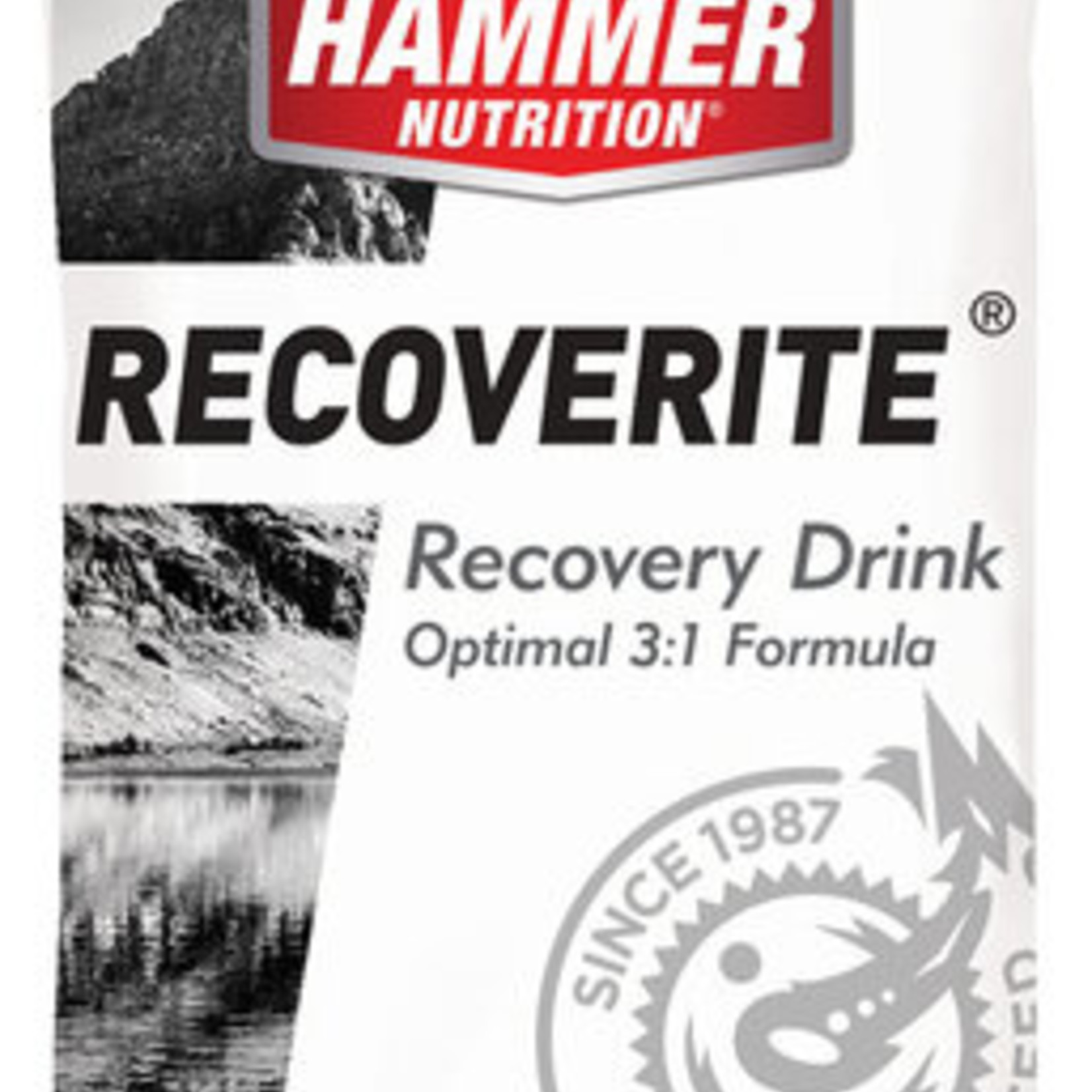 Hammer Nutrition Recoverite Fitness Fanatics