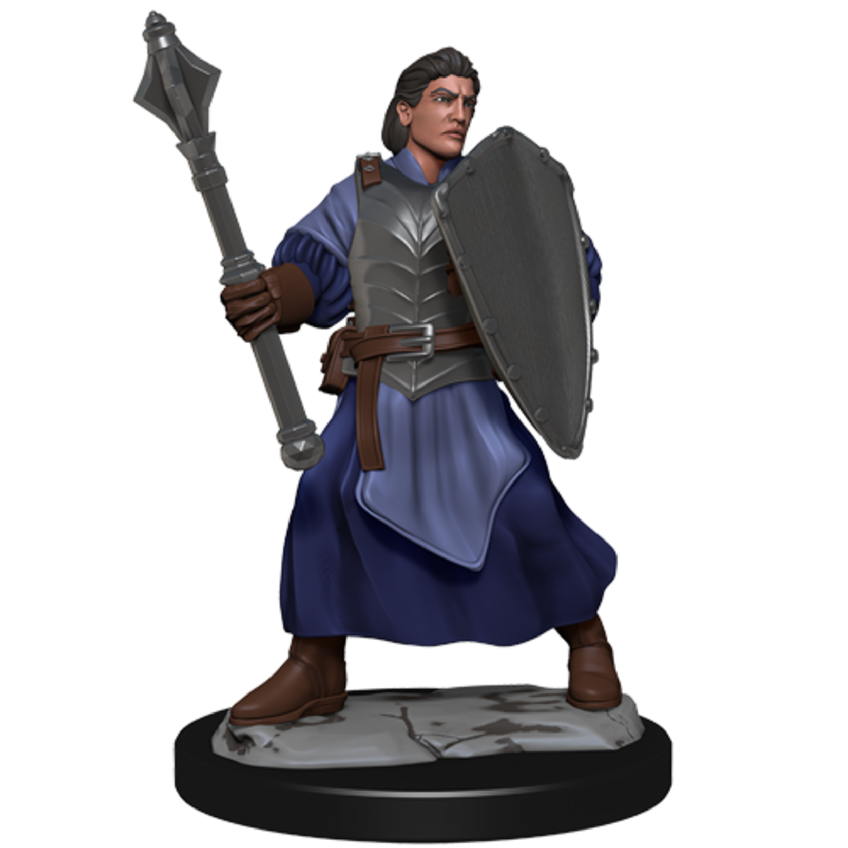 Wizards of the Coast Critical Roll Miniatures 1 Human Clovis Concord Cleric