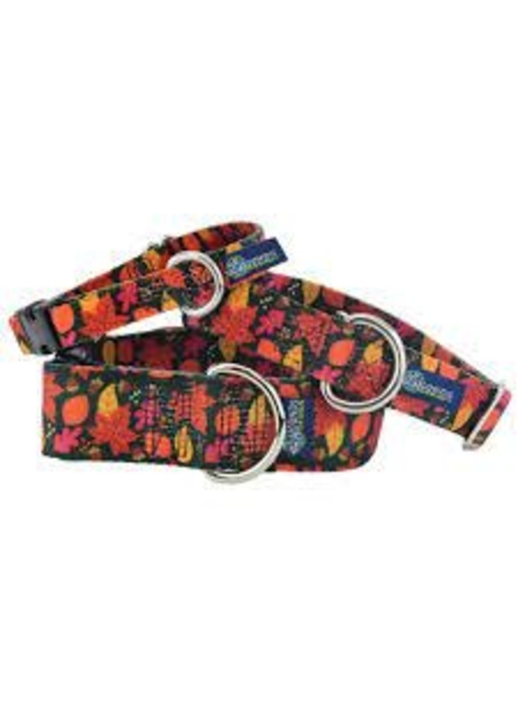 2 Hounds Keystone Combo/Clip Collar