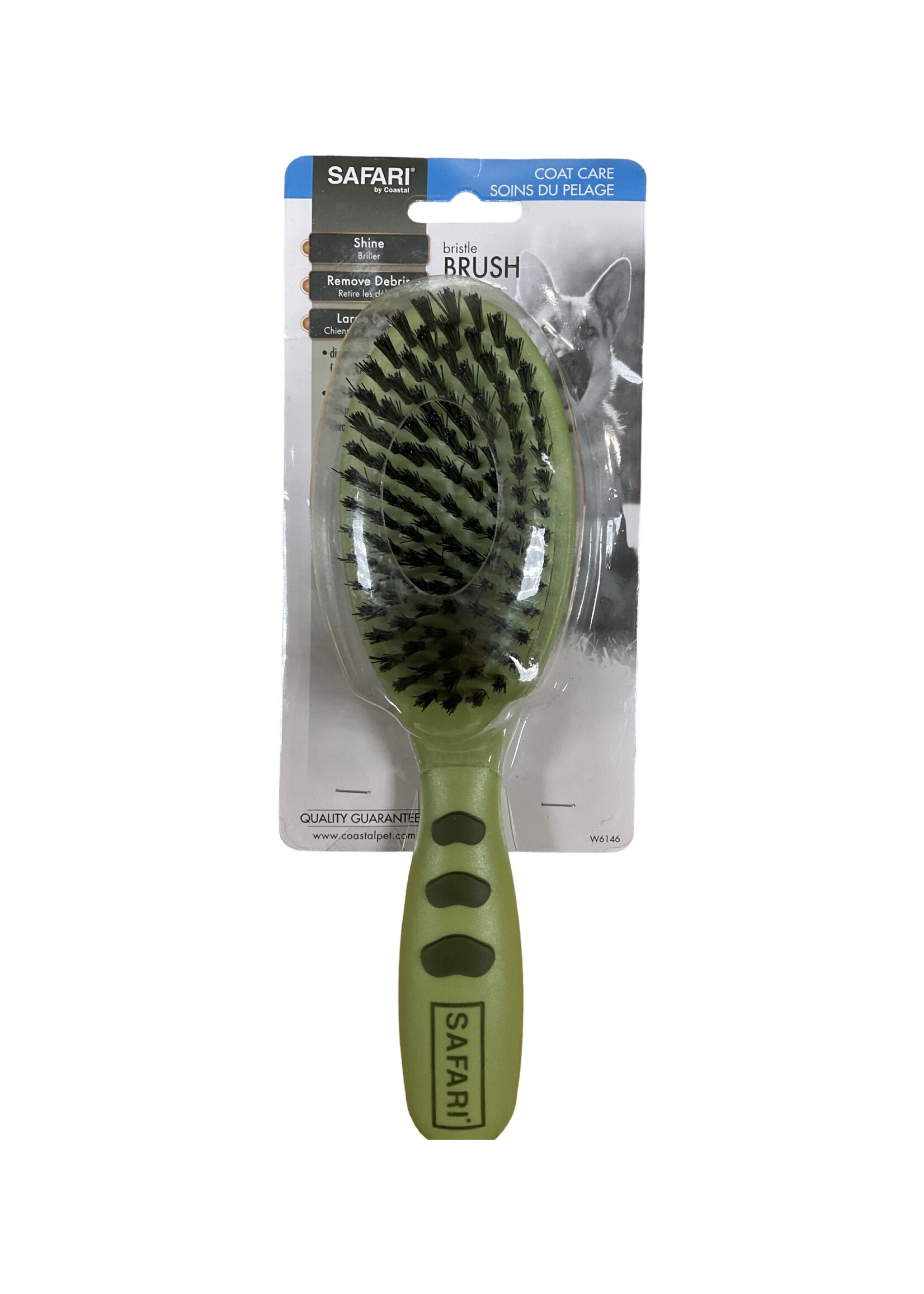 Safari Bristle Brush - M/L