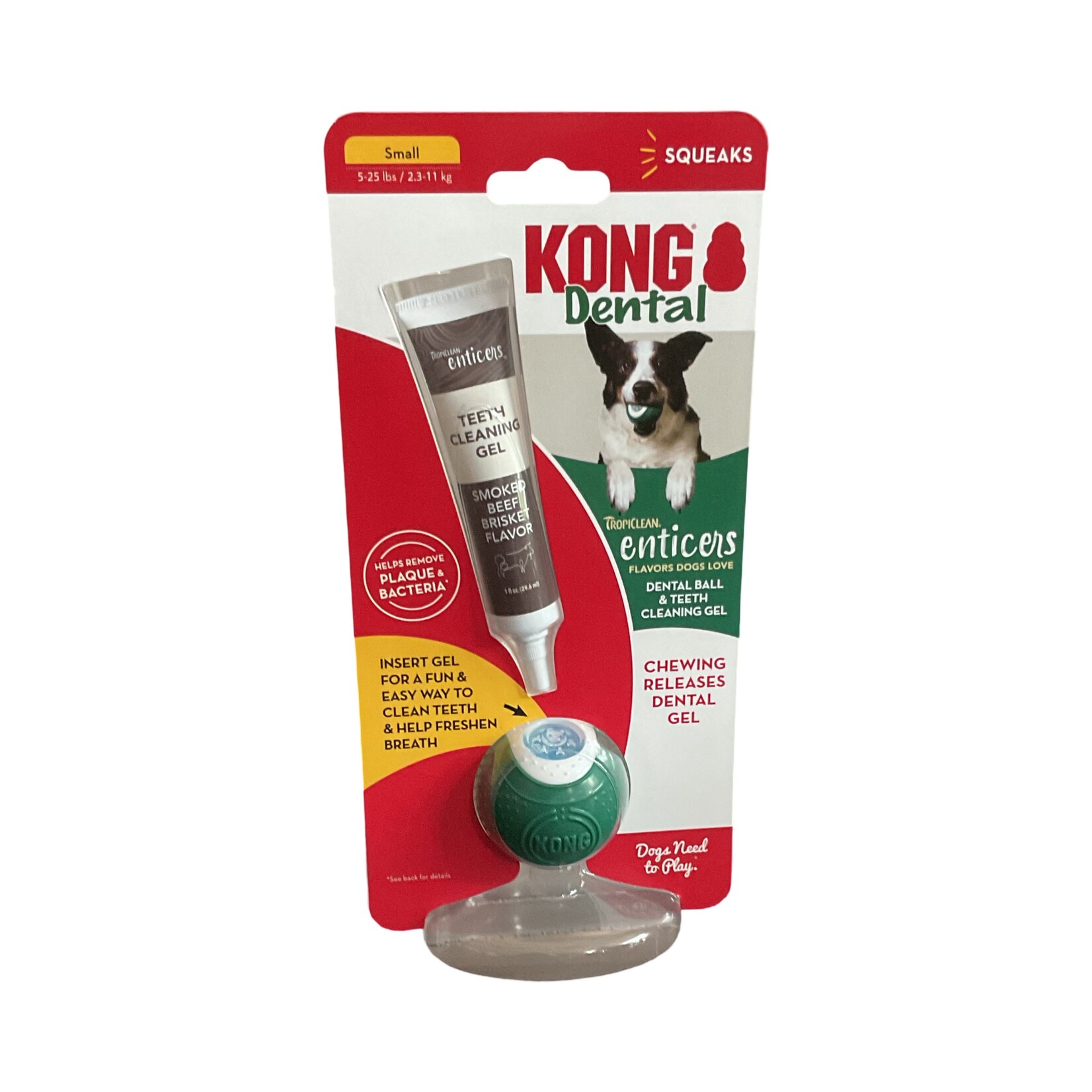 Kong Dental Ball & Teeth Cleaning Gel