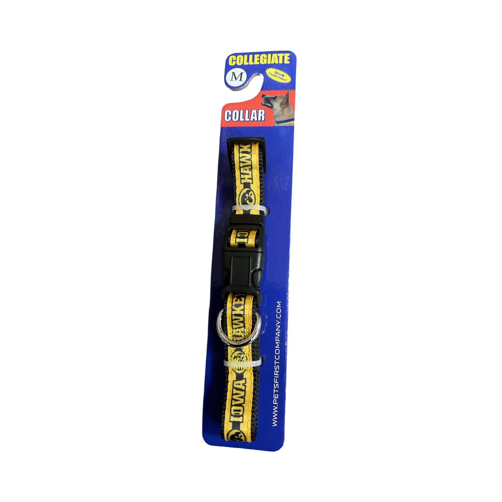 Collegiate Collar