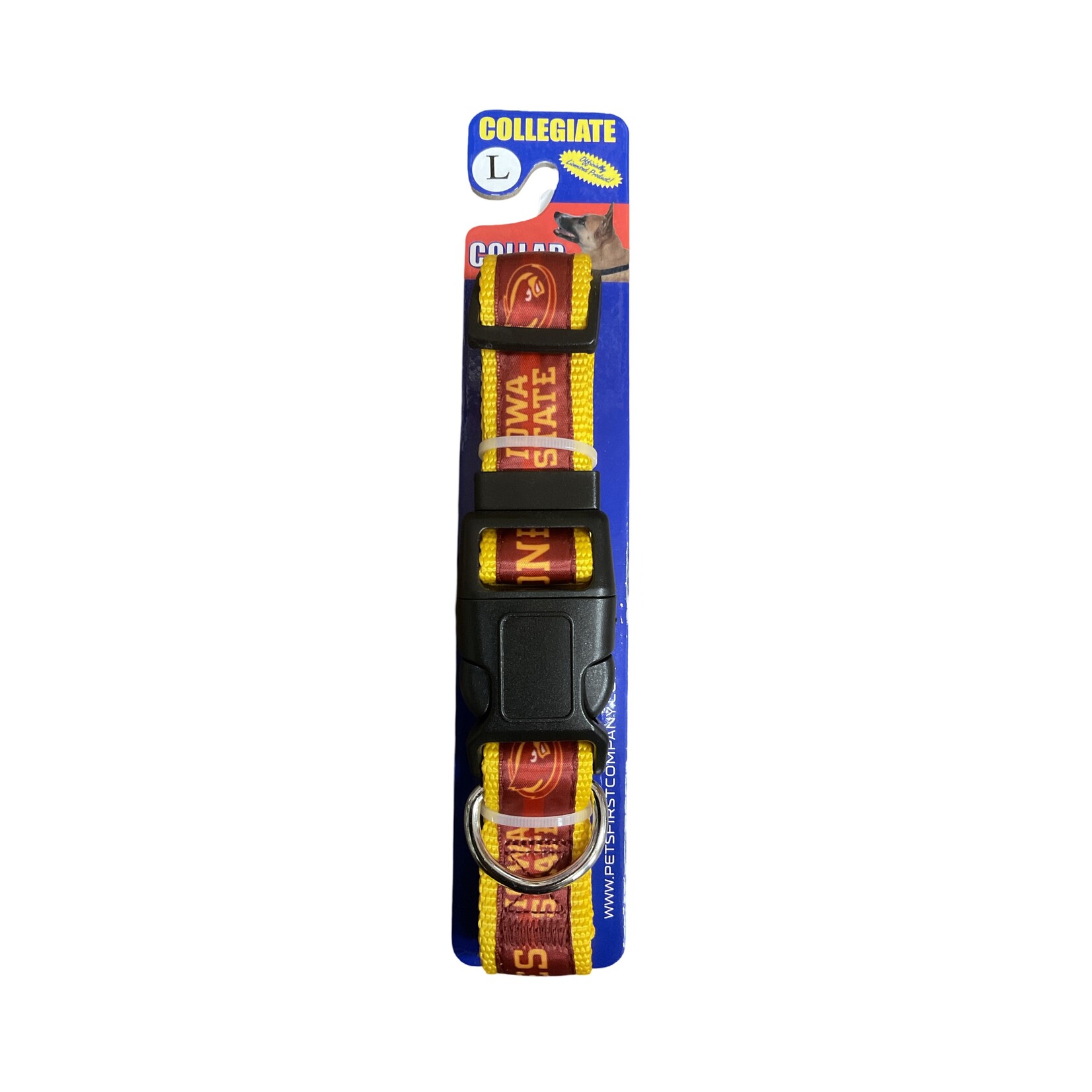 Collegiate Collar