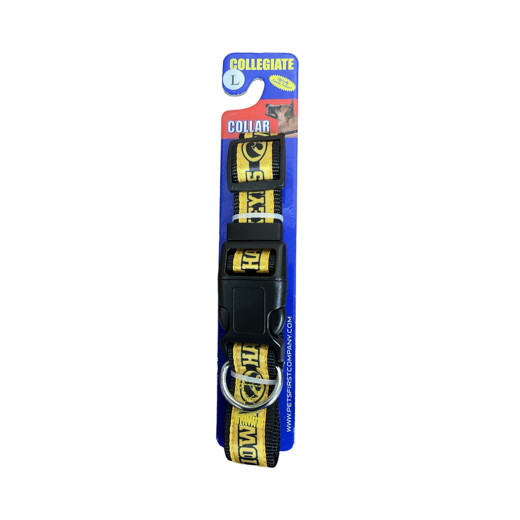 Collegiate Collar