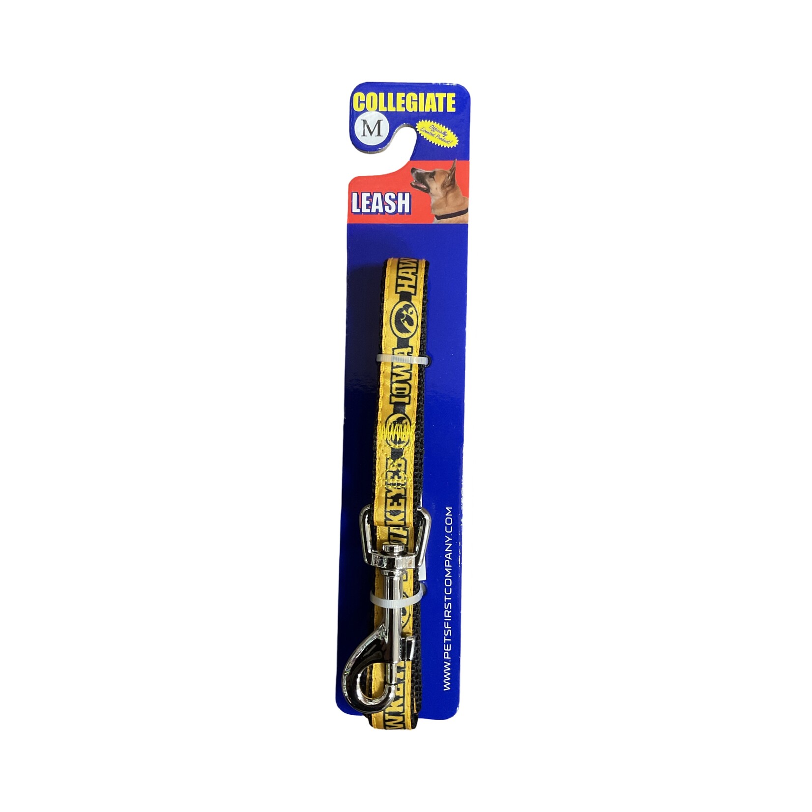 Collegiate Collegiate Pet Leash