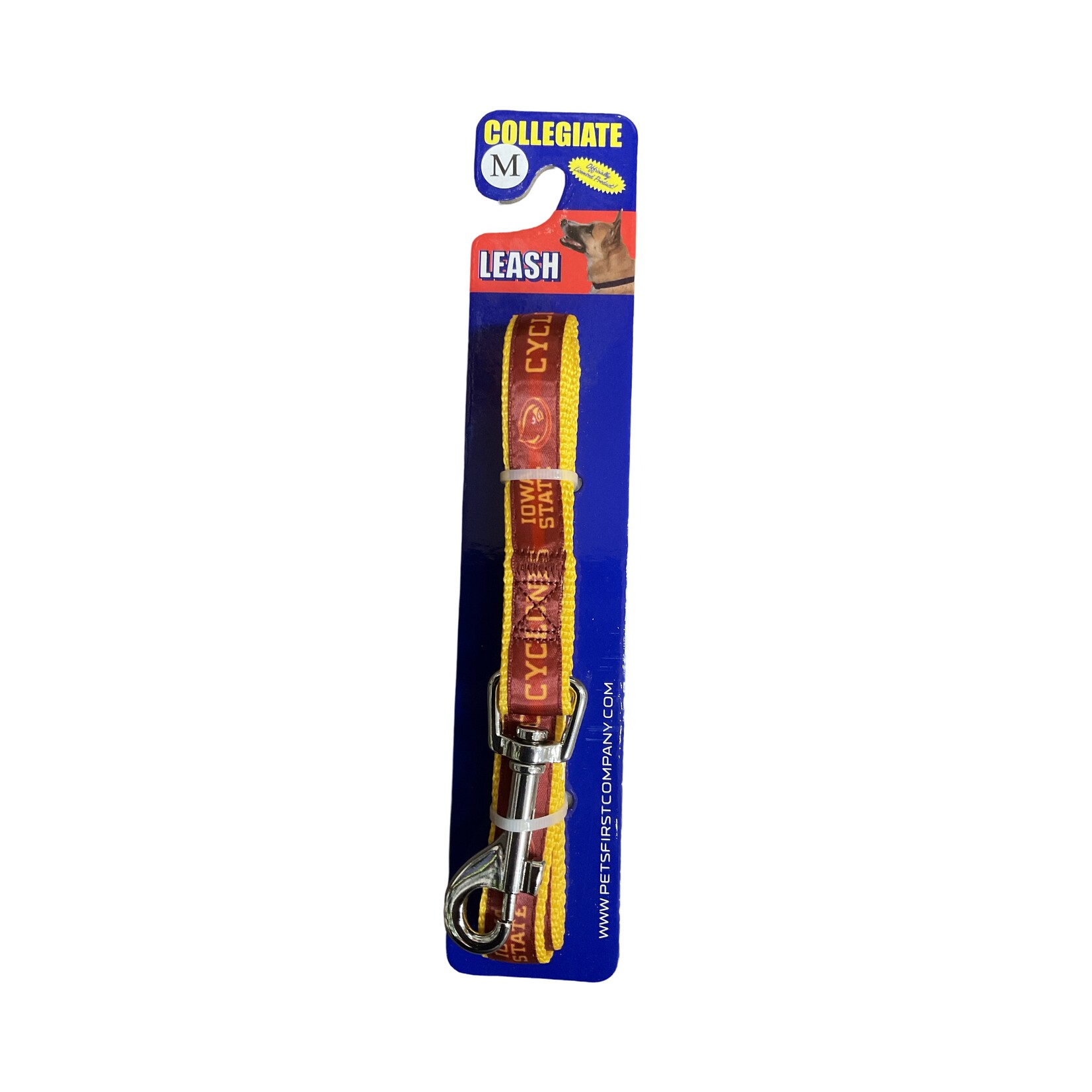 Collegiate Collegiate Pet Leash