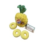 PetPlay P.L.A.Y. Tropical Paradise Paws Up Pineapple
