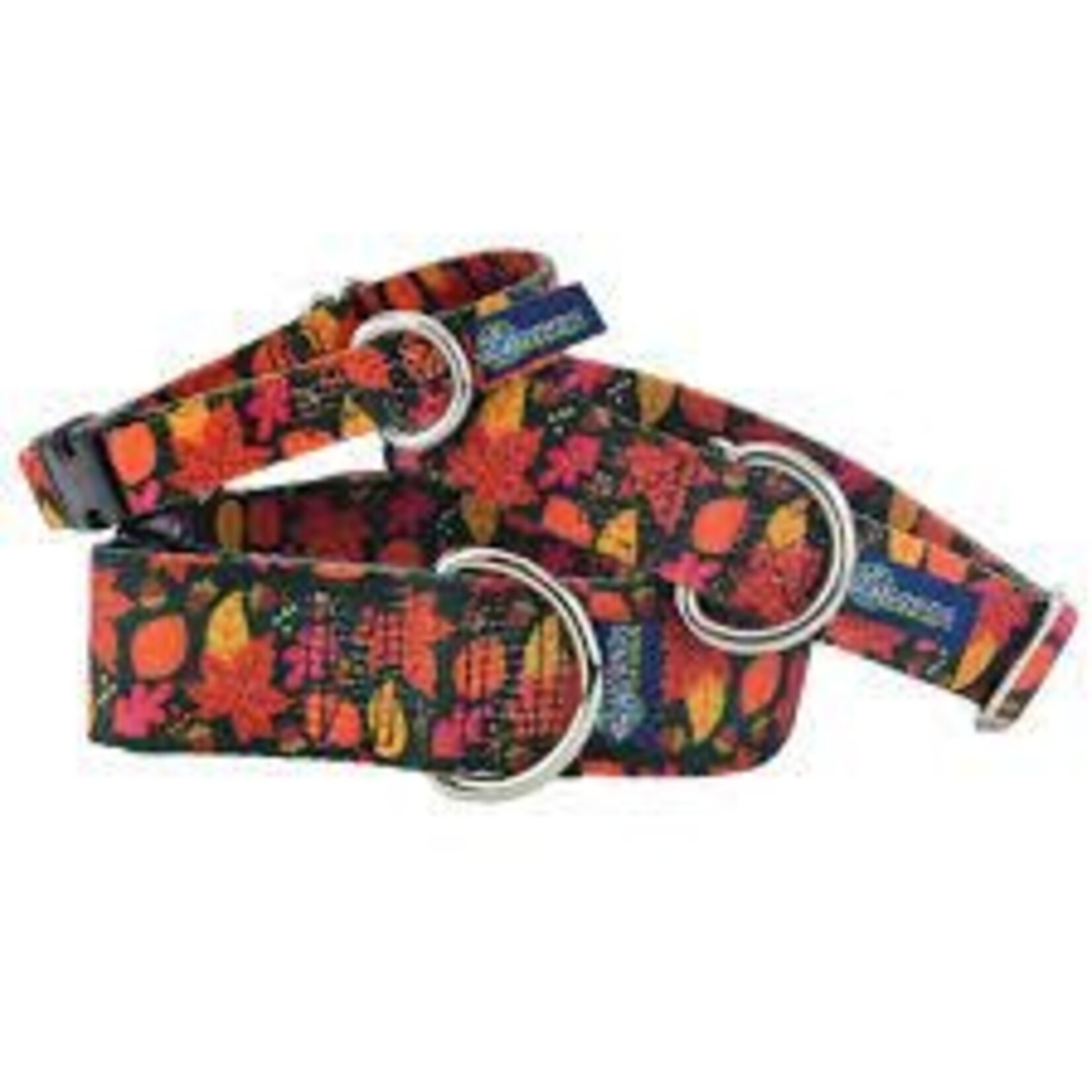 2 Hounds Keystone Combo/Clip Collar