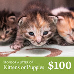Sponsor A Litter of Kittens or Puppies