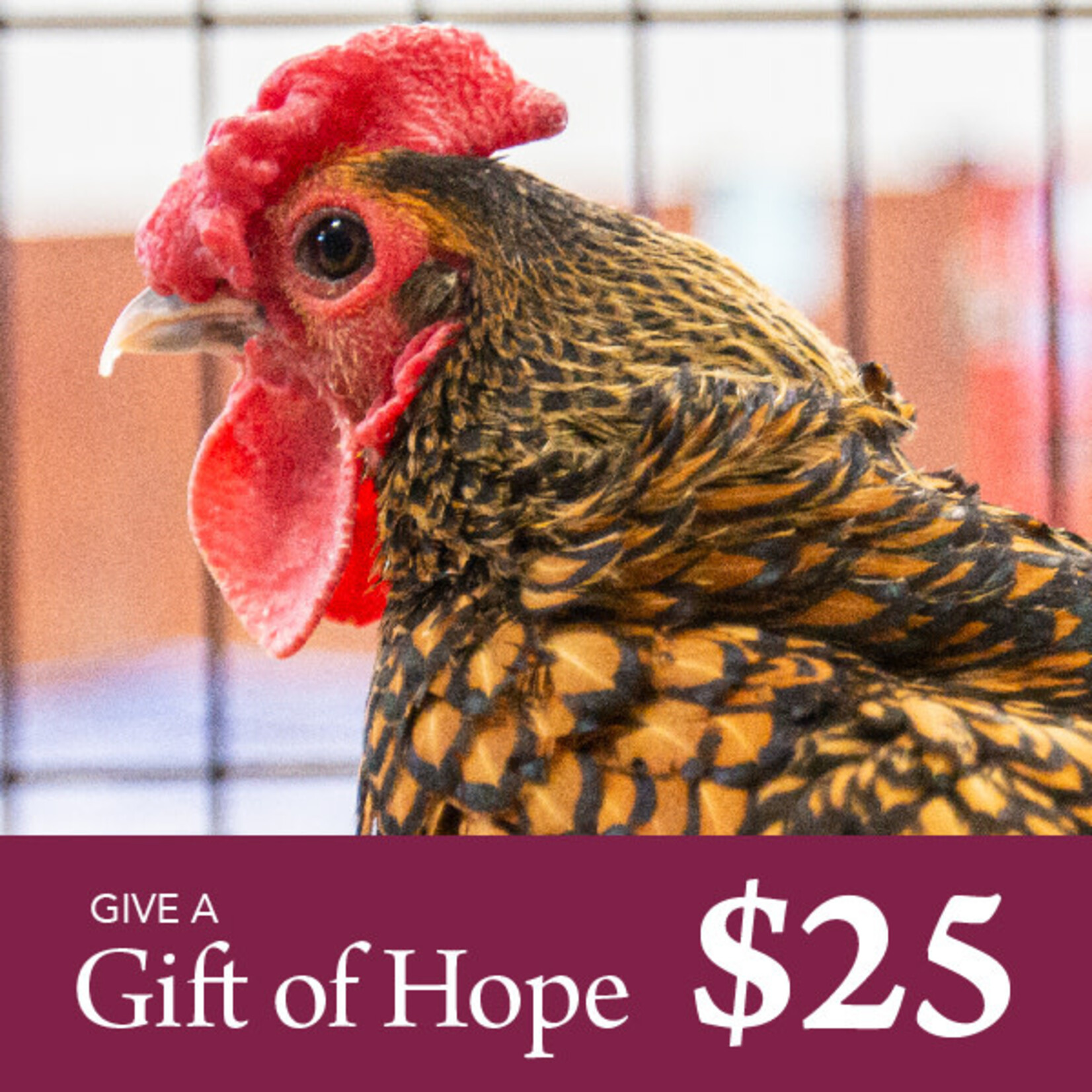 Give a Gift of Hope $25