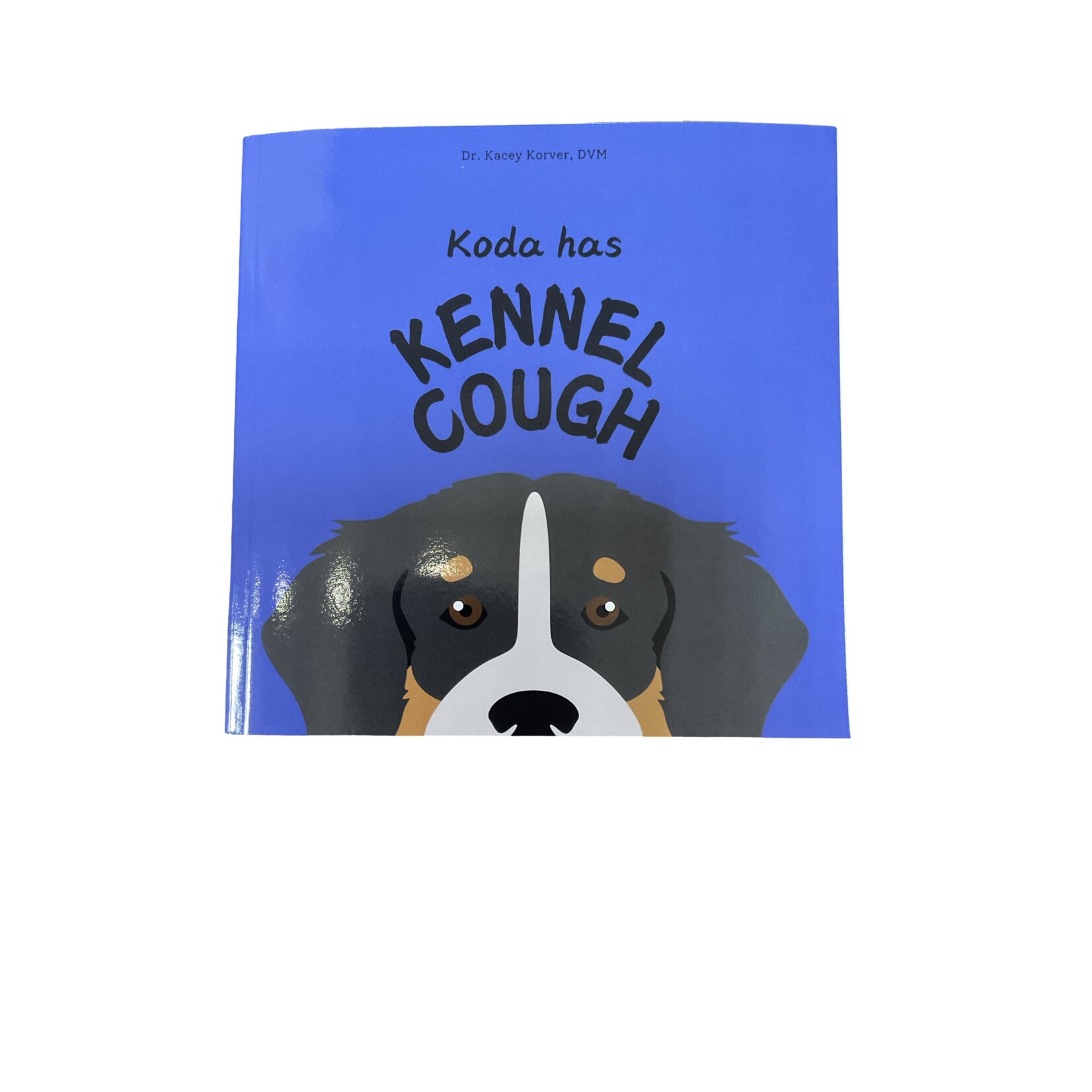 Pets at the Vet Series