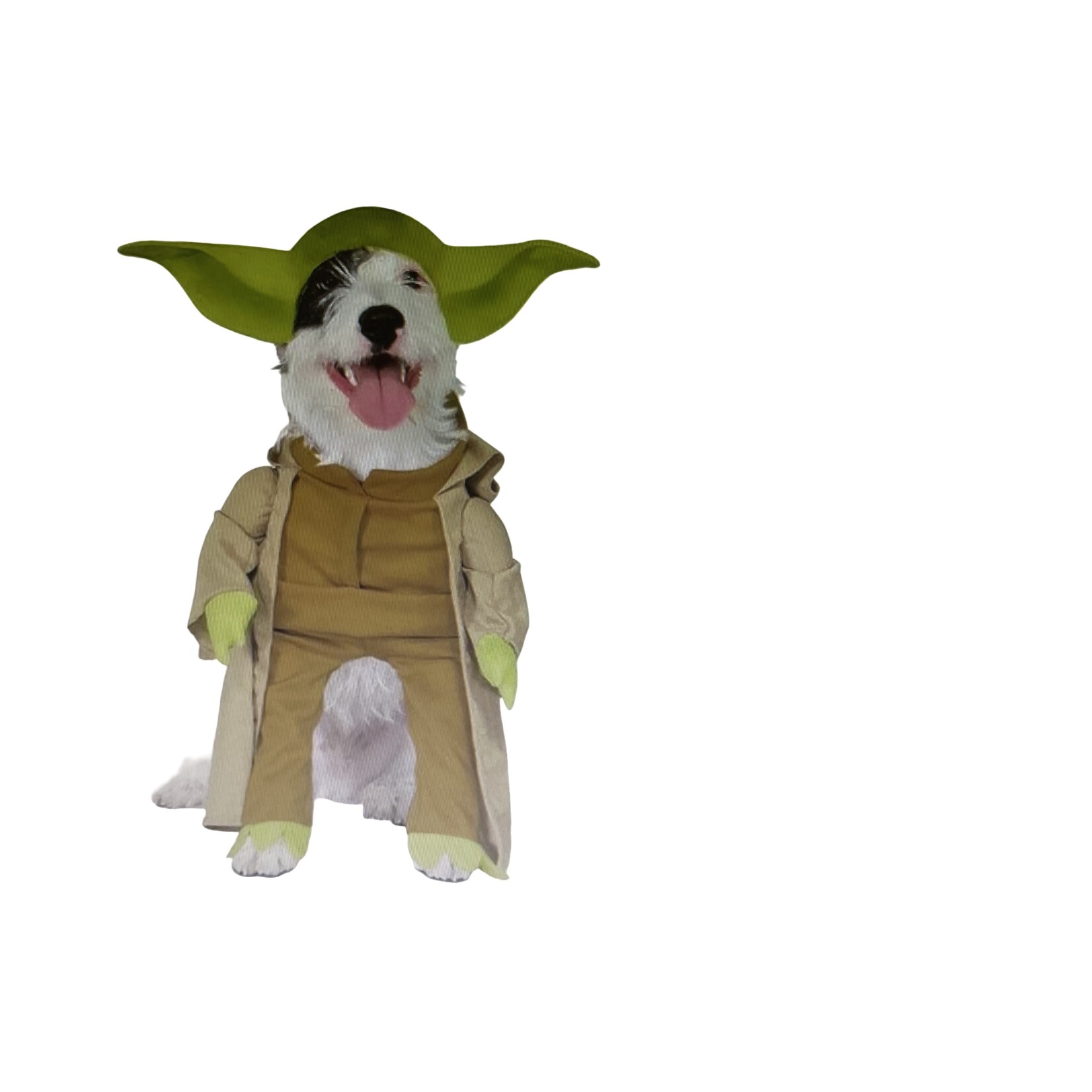 Star Wars Yoda Costume