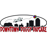 Downtown Doggy Daycare