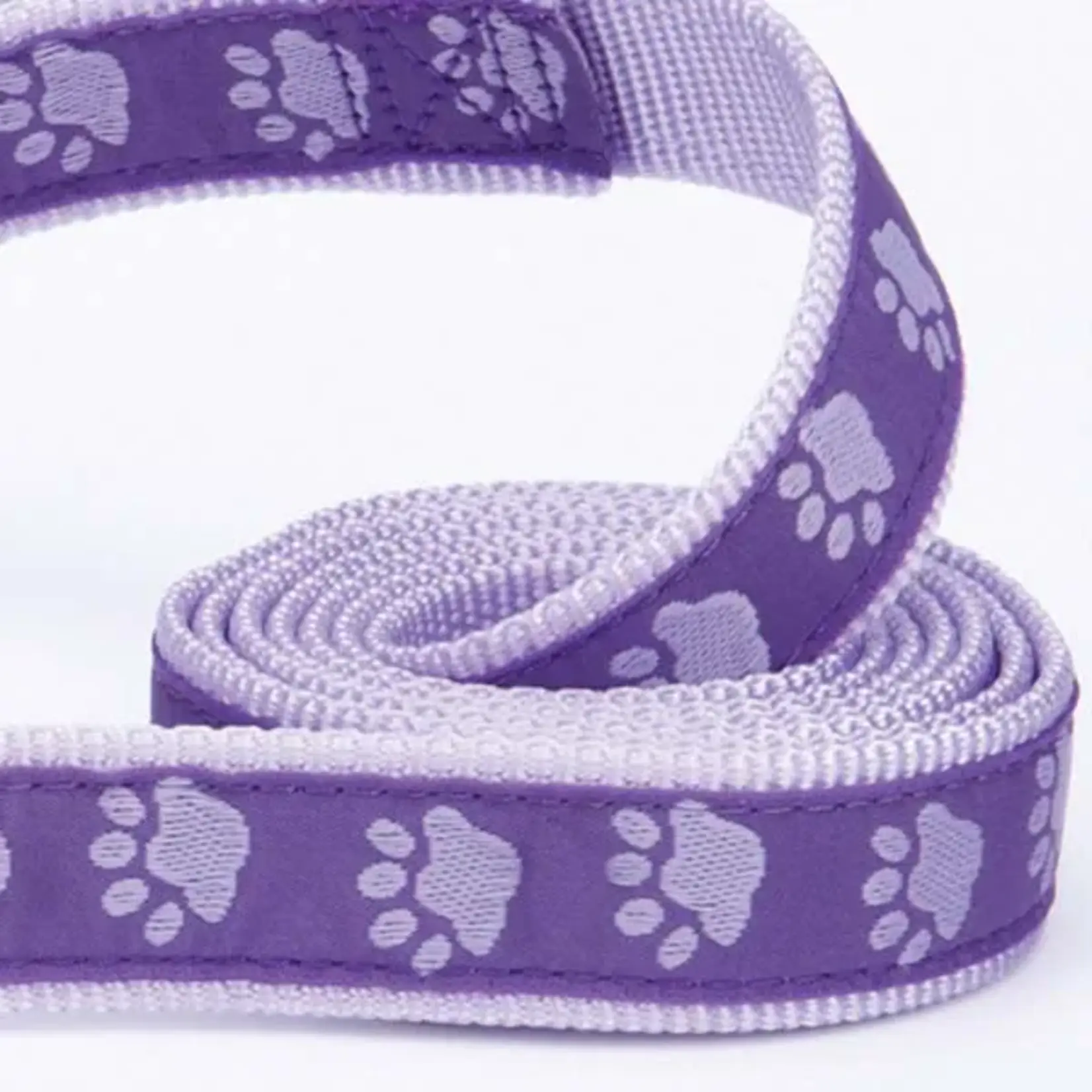 Casual Canine Two Tone Pawprint Lead 6'