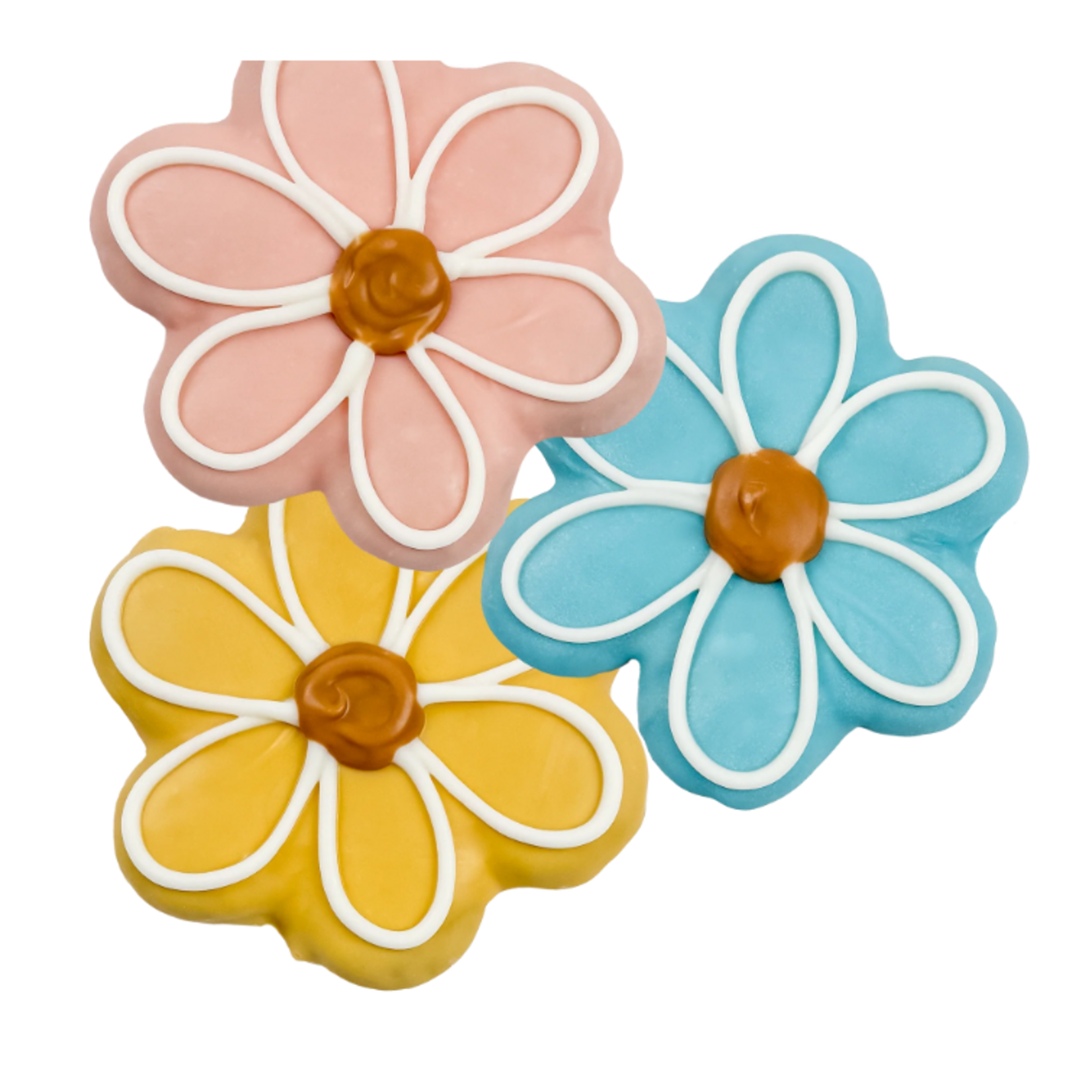 Bosco and Roxy Bosco and Roxy's Sprout and Shout! Cookie