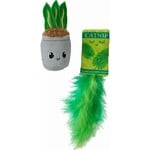 Quirky Kitty Quirky Kitty House Plant