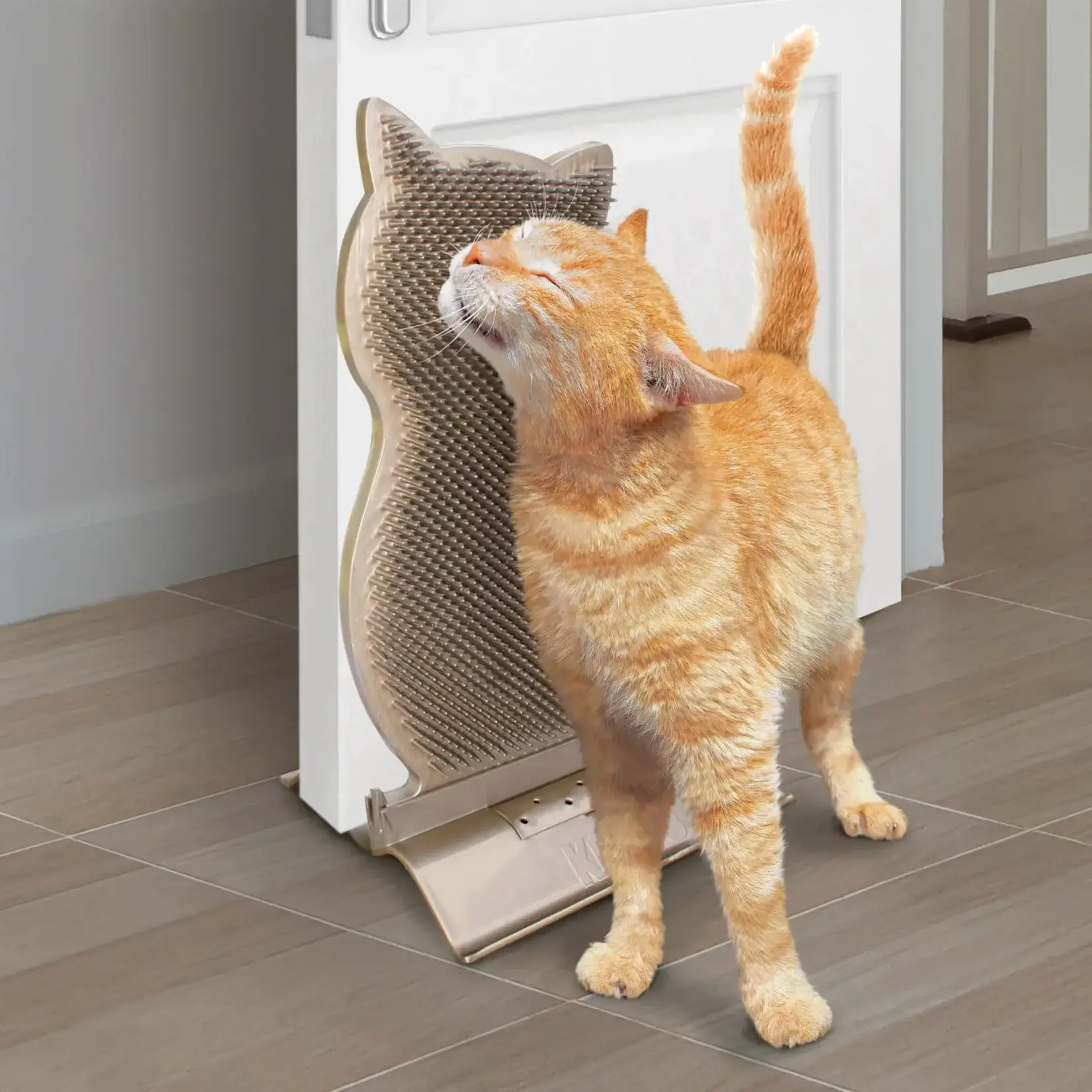 Kong Kong Cat Connects Kitty Comber