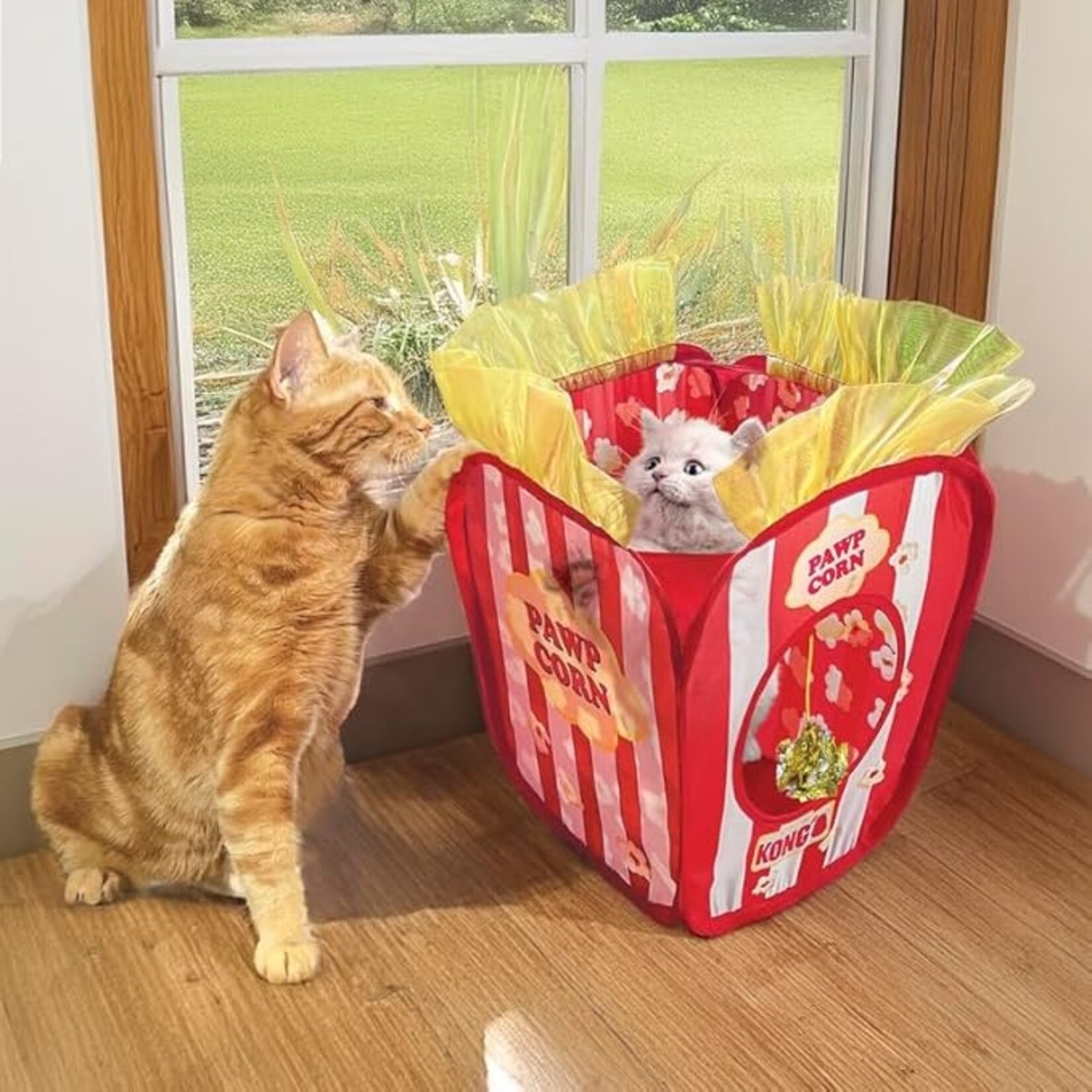 Kong Kong Play Spaces Pawpcorn