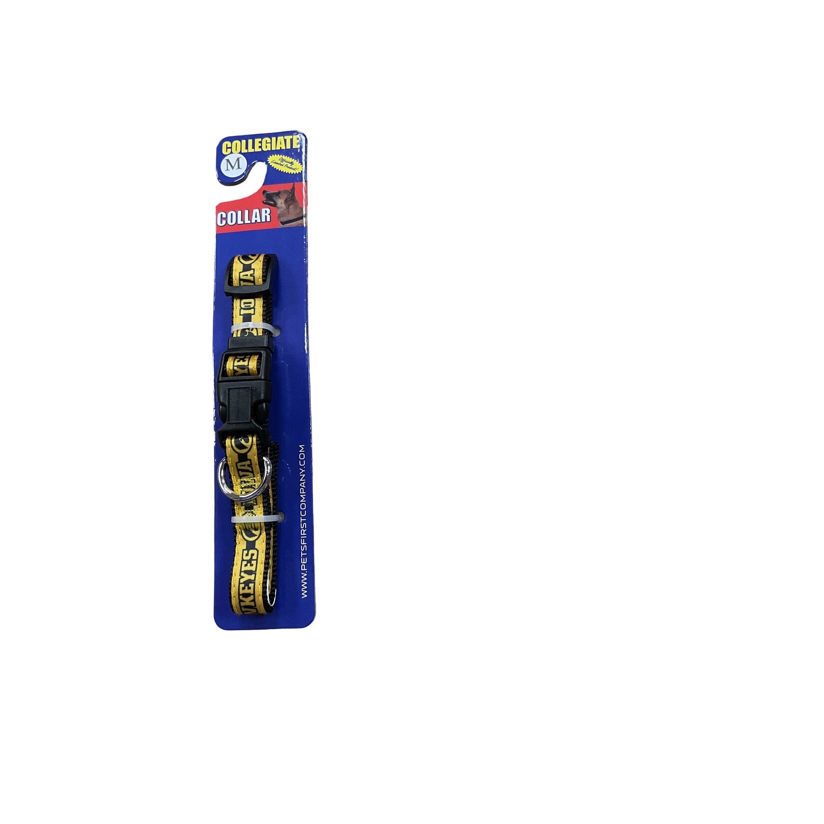 Collegiate Collegiate Satin  Dog Collars