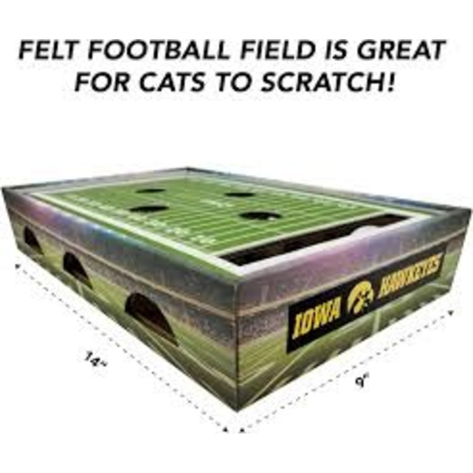 Collegiate Iowa Seek and Find Cat Scratcher Toy