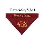 Cyclone & Hawkeye Cyclone And Hawkeye Reversible Mesh Bandana