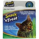 Snack 'n Treat Snack 'N Treat Easy Grow Cat Grass Kit