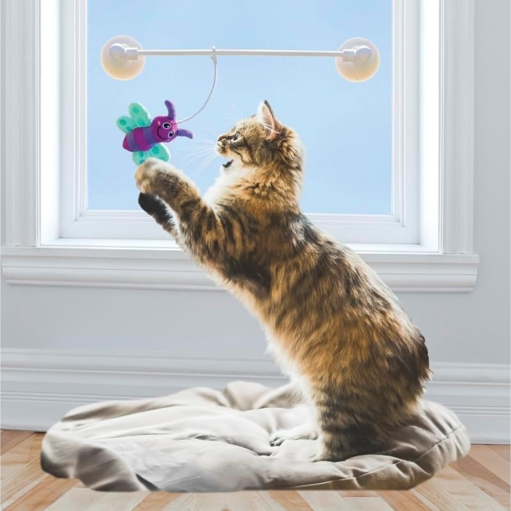 Kong Kong Cat Connects Glow Firefly