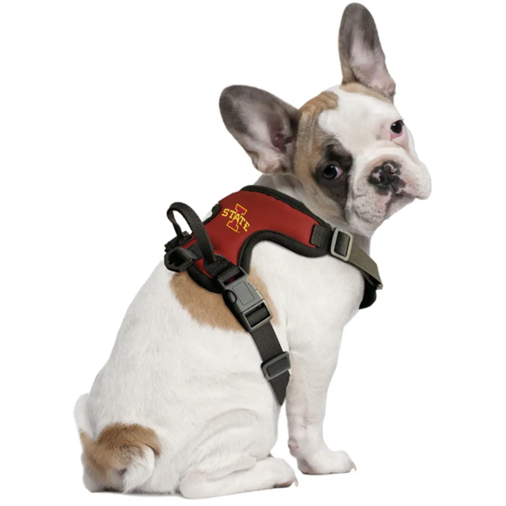 NCAA NCAA Front Clip Pet Harness