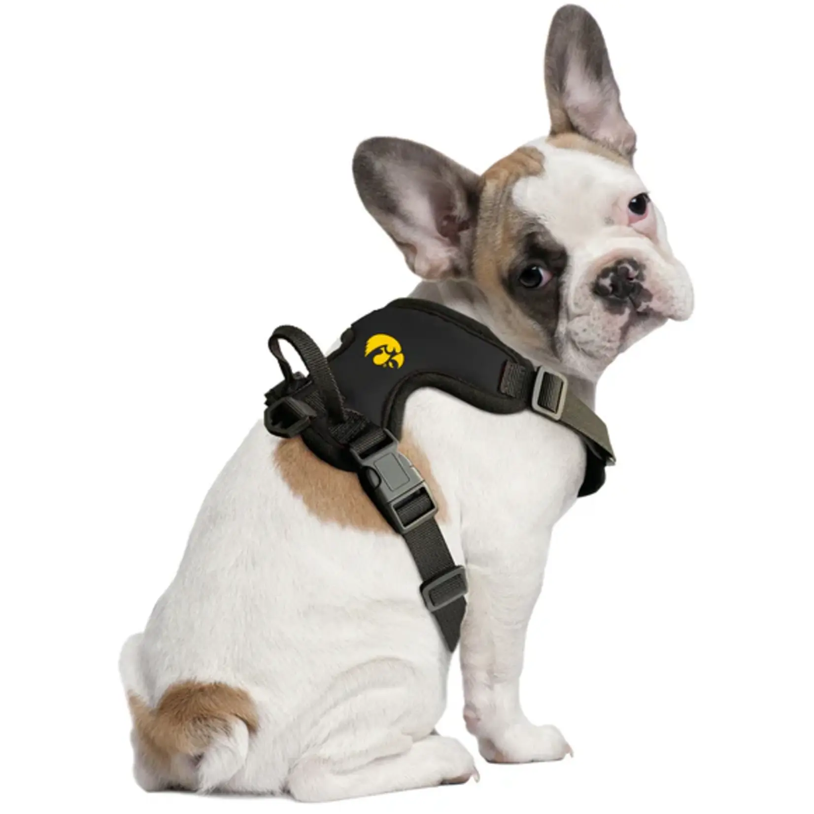 NCAA NCAA Front Clip Pet Harness
