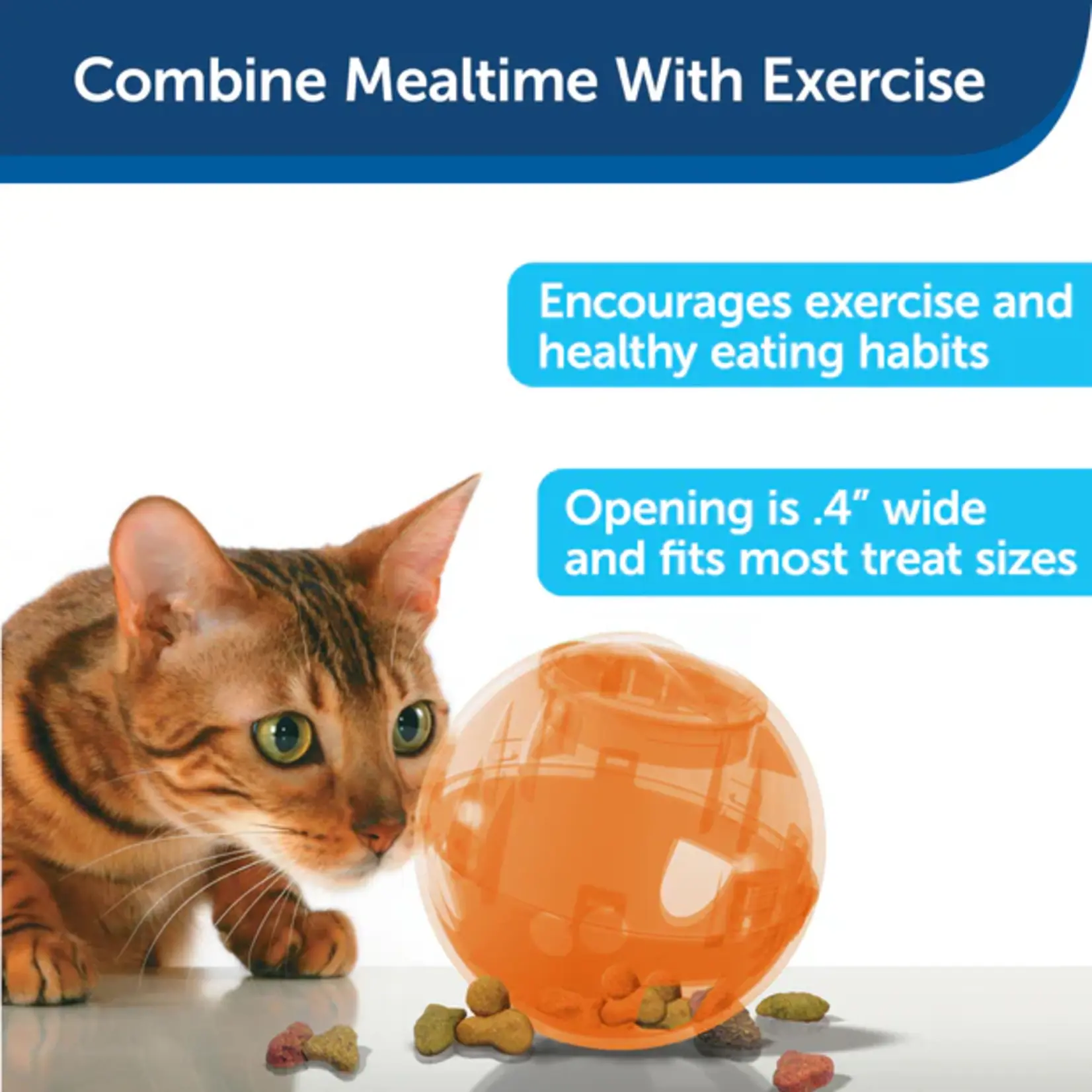 Petsafe Cat Treat Dispenser