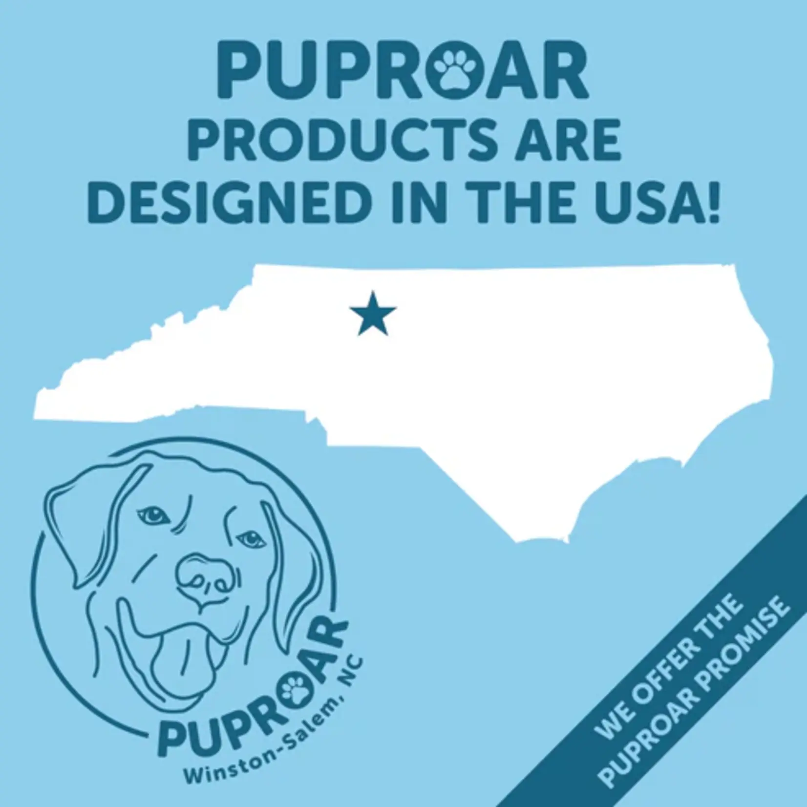 Puproar Pawsidential Ballot Squeaker Dog Toy