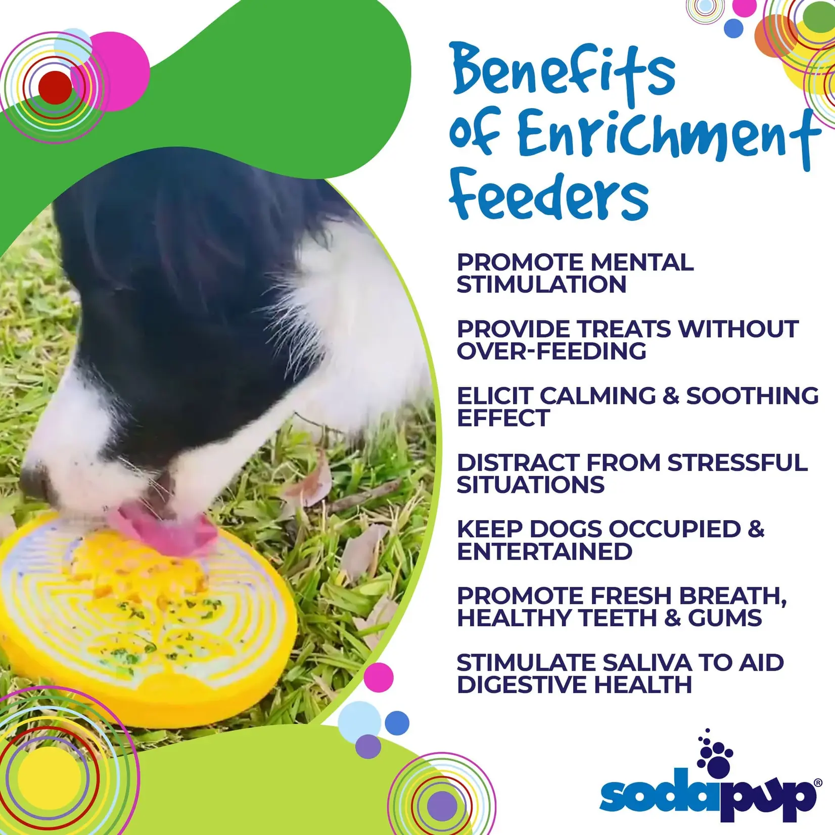 SodaPup SodaPup Enrichment Coin