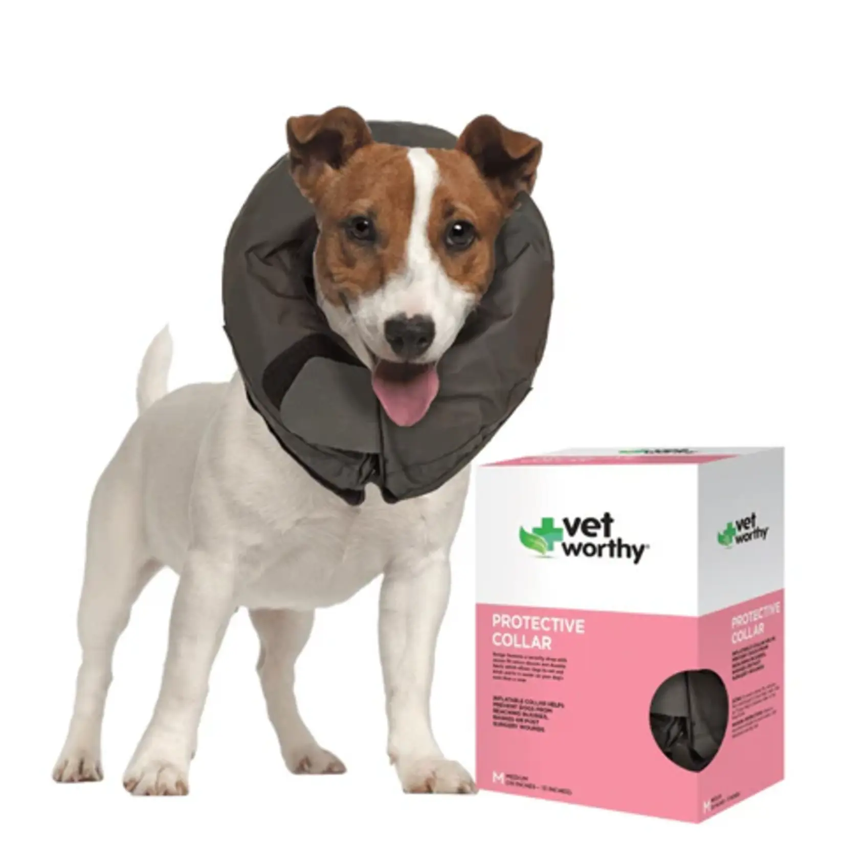 Vet Worthy Inflatable Collar