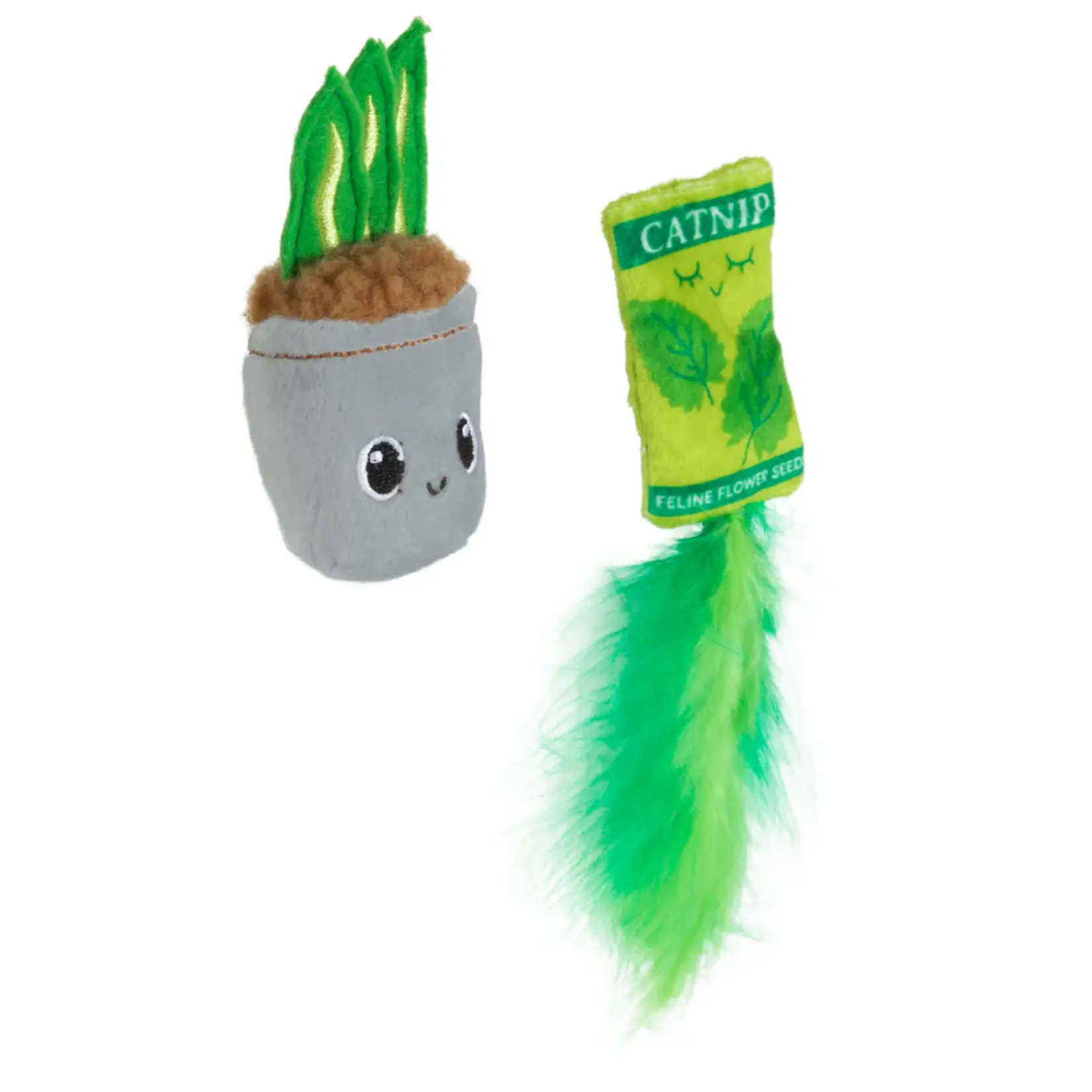 Quirky Kitty Quirky Kitty House Plant
