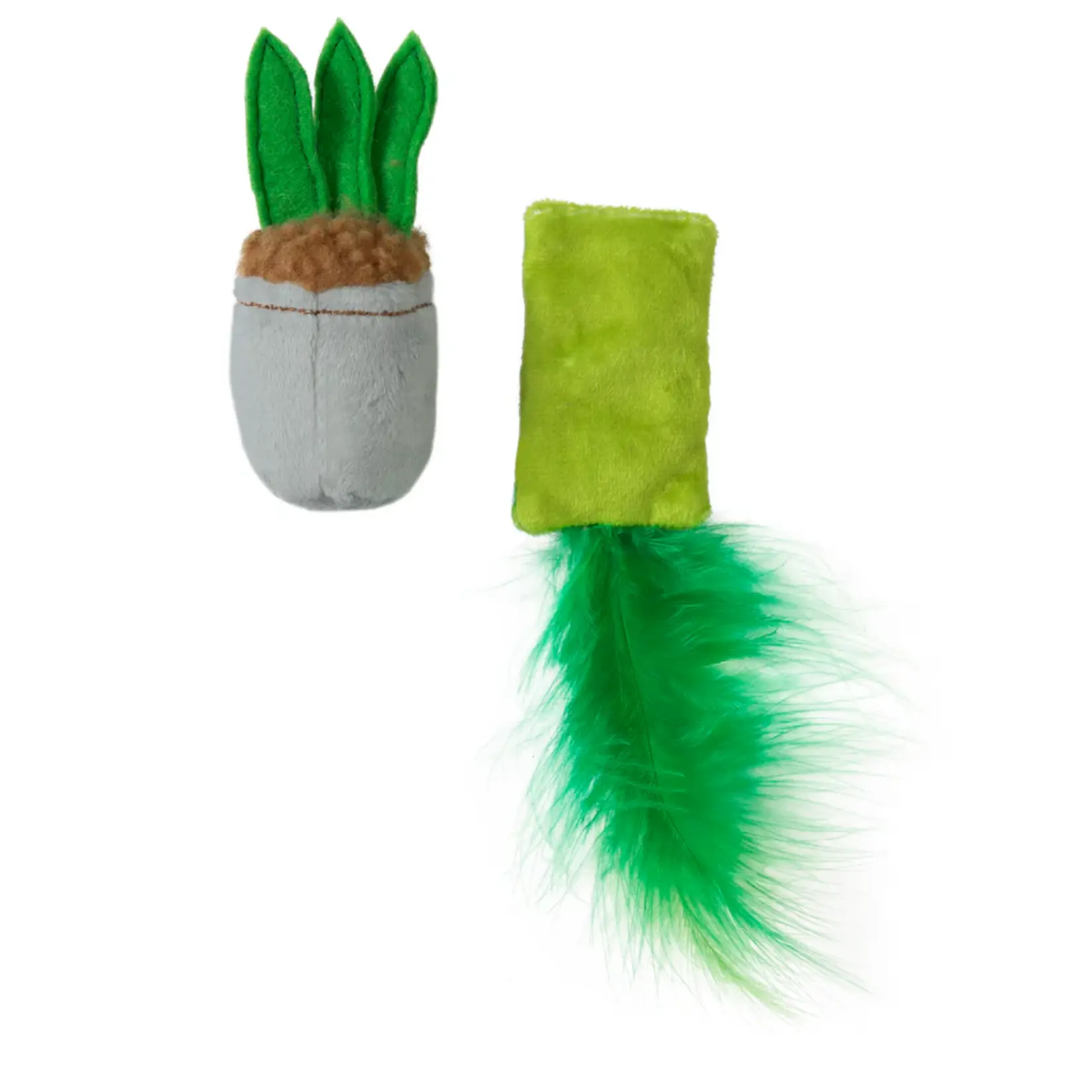 Quirky Kitty Quirky Kitty House Plant