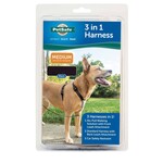 Pet Safe 3 in 1 Harness with Leash
