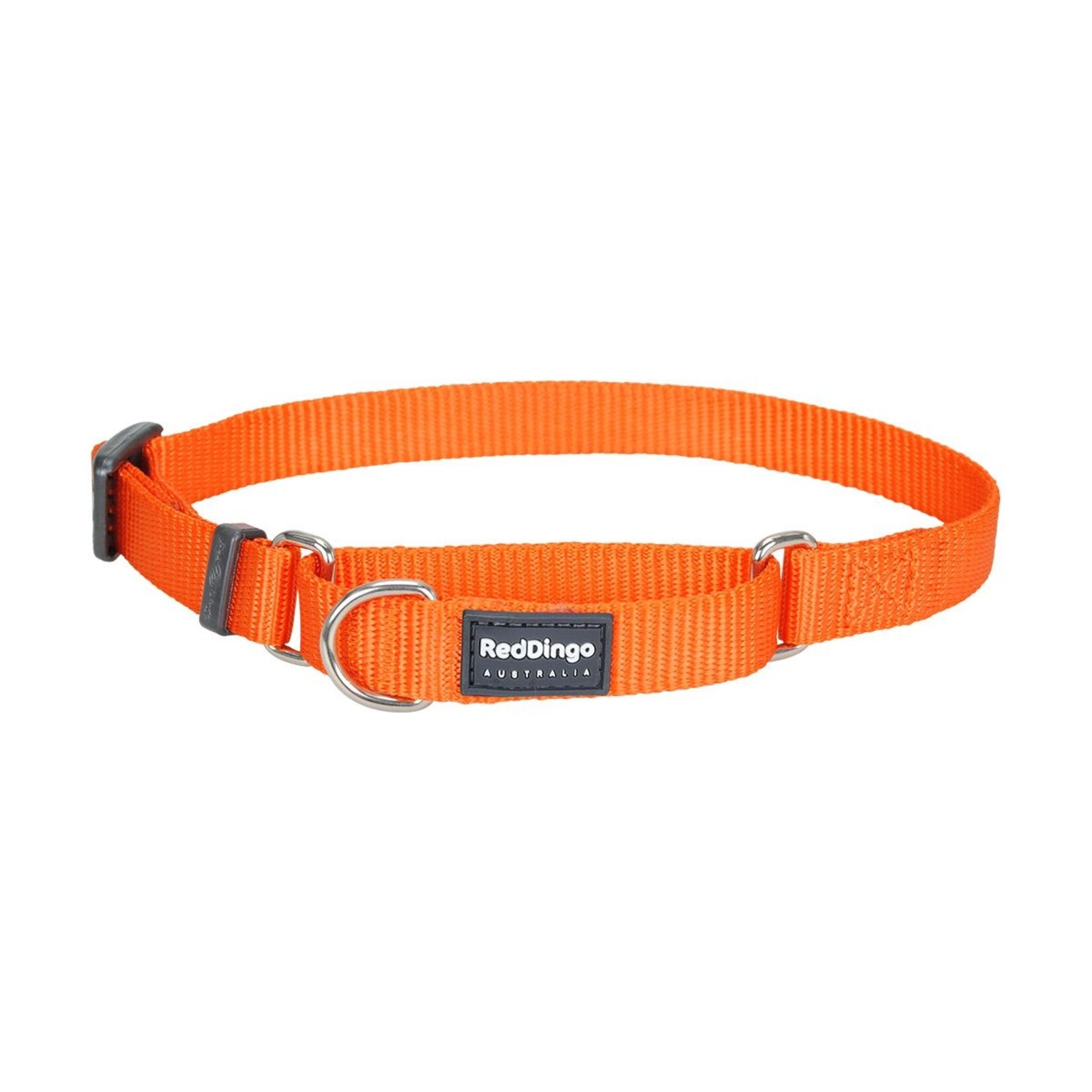 Red Dingo Martingale Collars